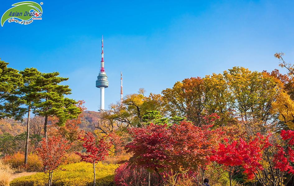 KHÁM PHÁ XỨ SỞ KIM CHI: SEOUL – NAMI - EVERLAND 4 NGÀY 4 ĐÊM